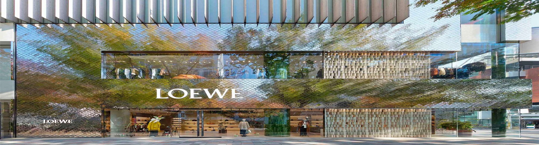 LOEWE BANNER